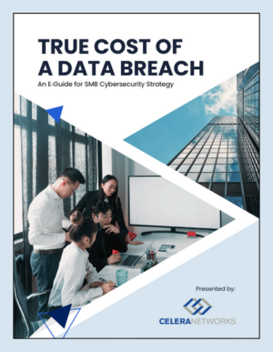 MISC - Data Breach Download - LP Thumbnail